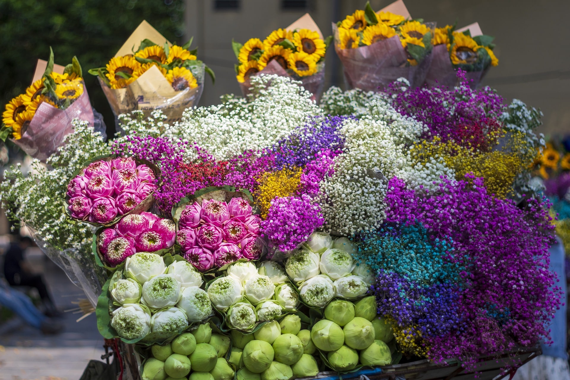 TEST flowers